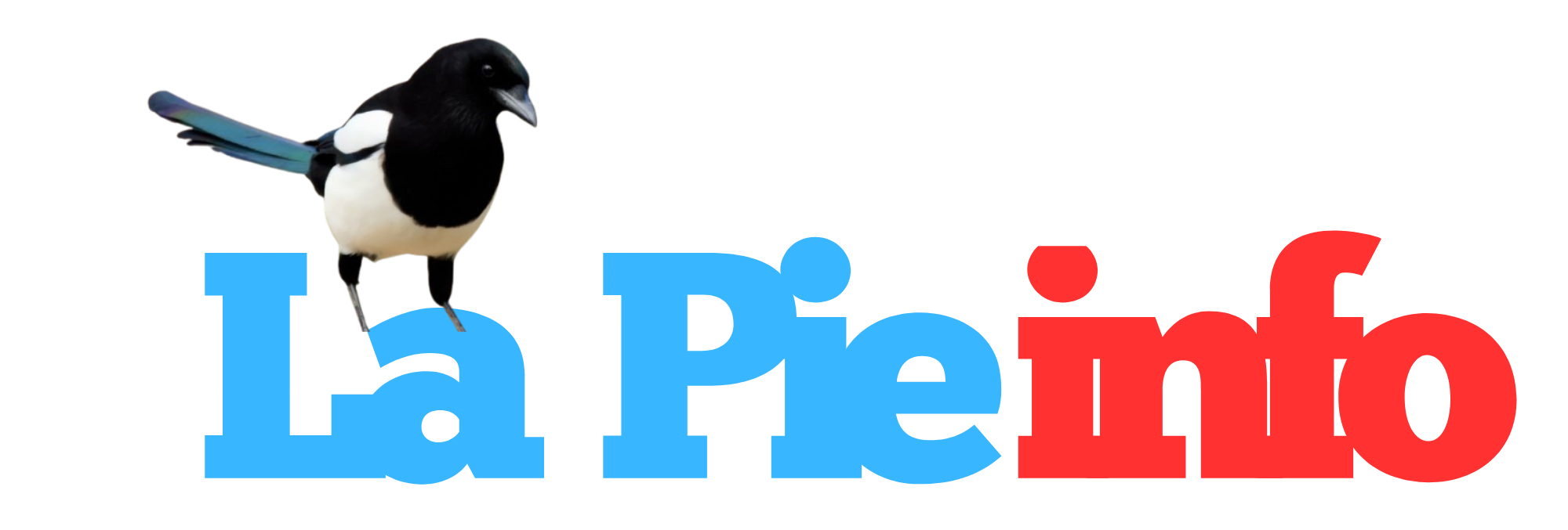 spot_img